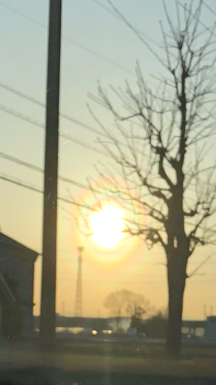 スタッフ撮影です。