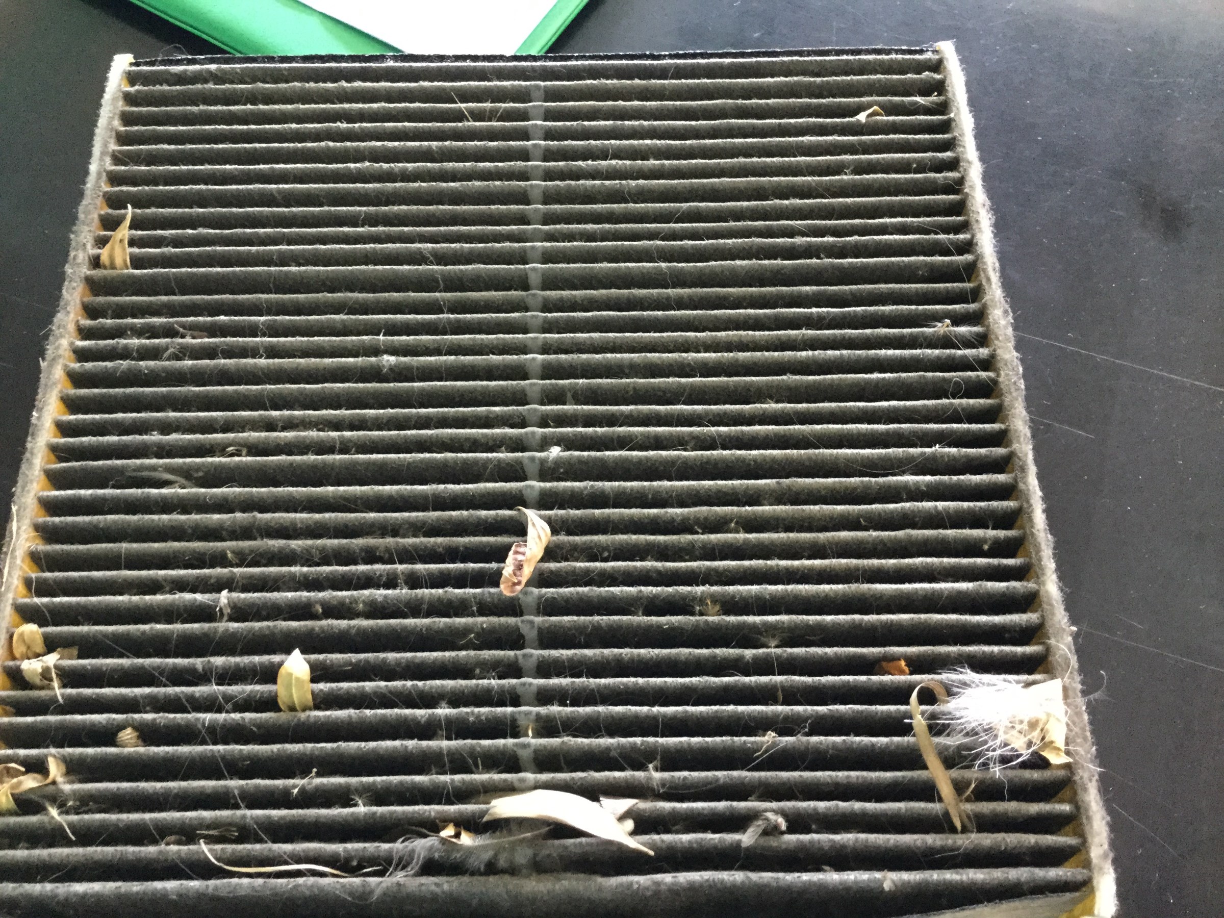 カビてます。・・・・