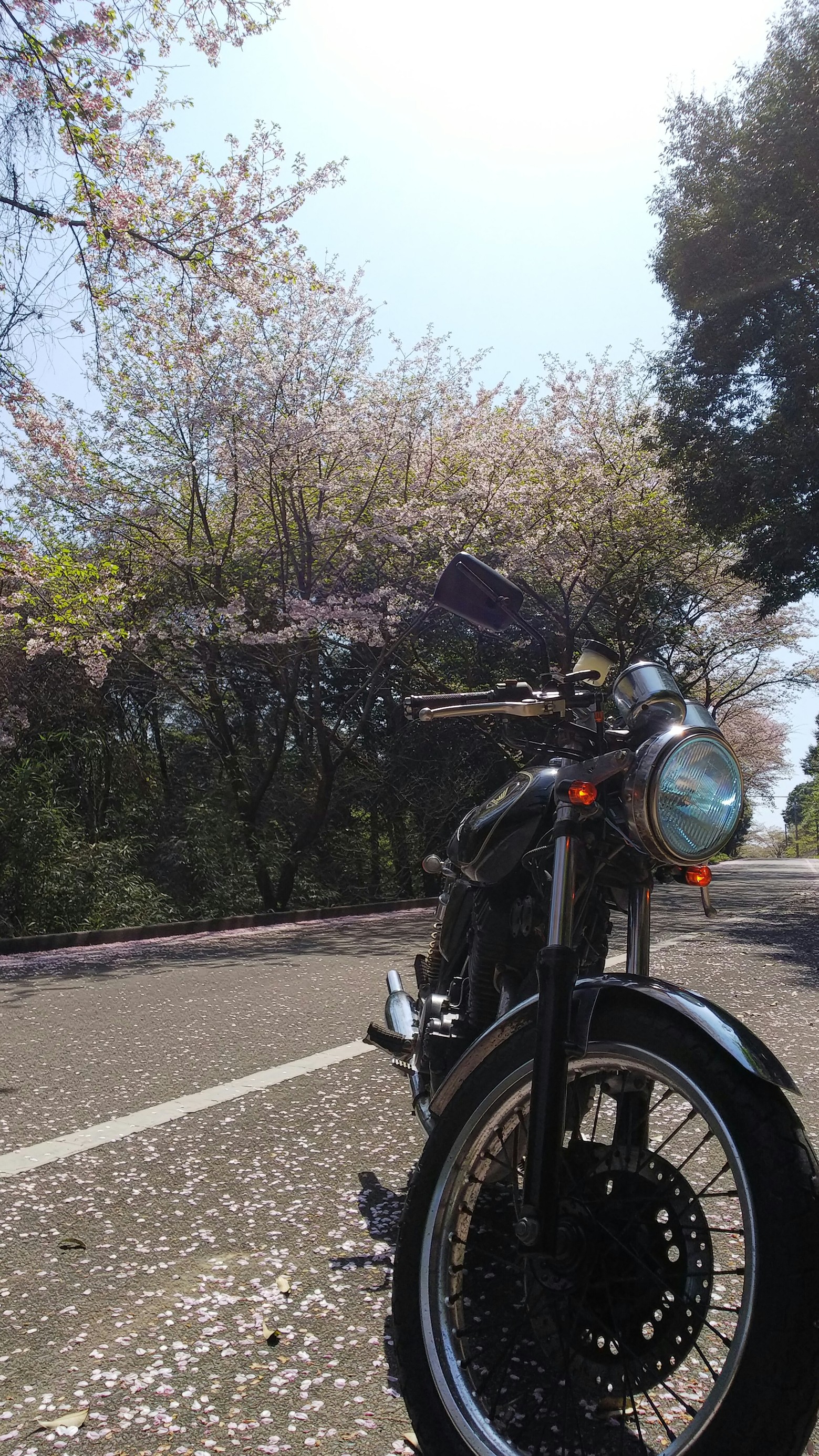 スタッフ撮影です。