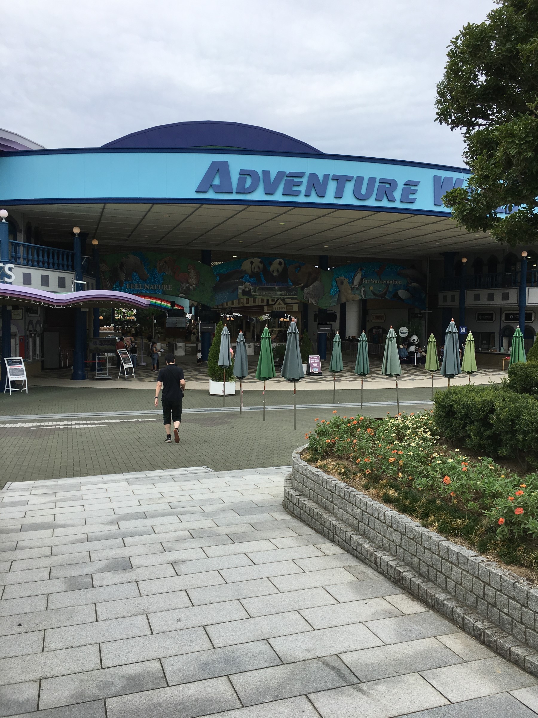 アドベンチャーワールド パンダ研修 スタッフ日記 タイヤ館 可児店 岐阜県のタイヤ カー用品ショップ タイヤからはじまる トータルカーメンテナンス タイヤ館グループ