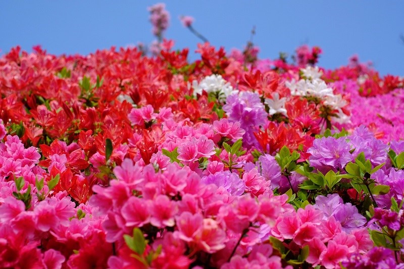 朝活 スタッフ日記 タイヤ館 諫早 タイヤからはじまる トータルカーメンテナンス タイヤ館グループ