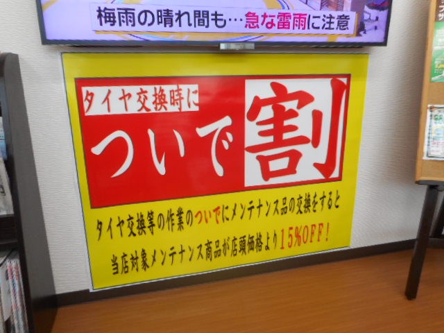 スタッフが撮った写真