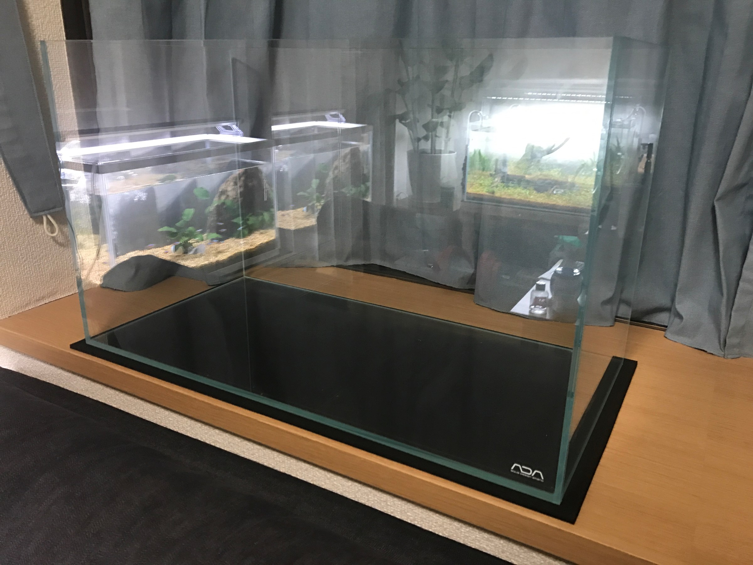 水槽入れ替え。。 | 店舗おススメ情報 | タイヤ館 三鷹（東京都）