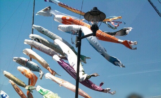 スタッフ撮影です。