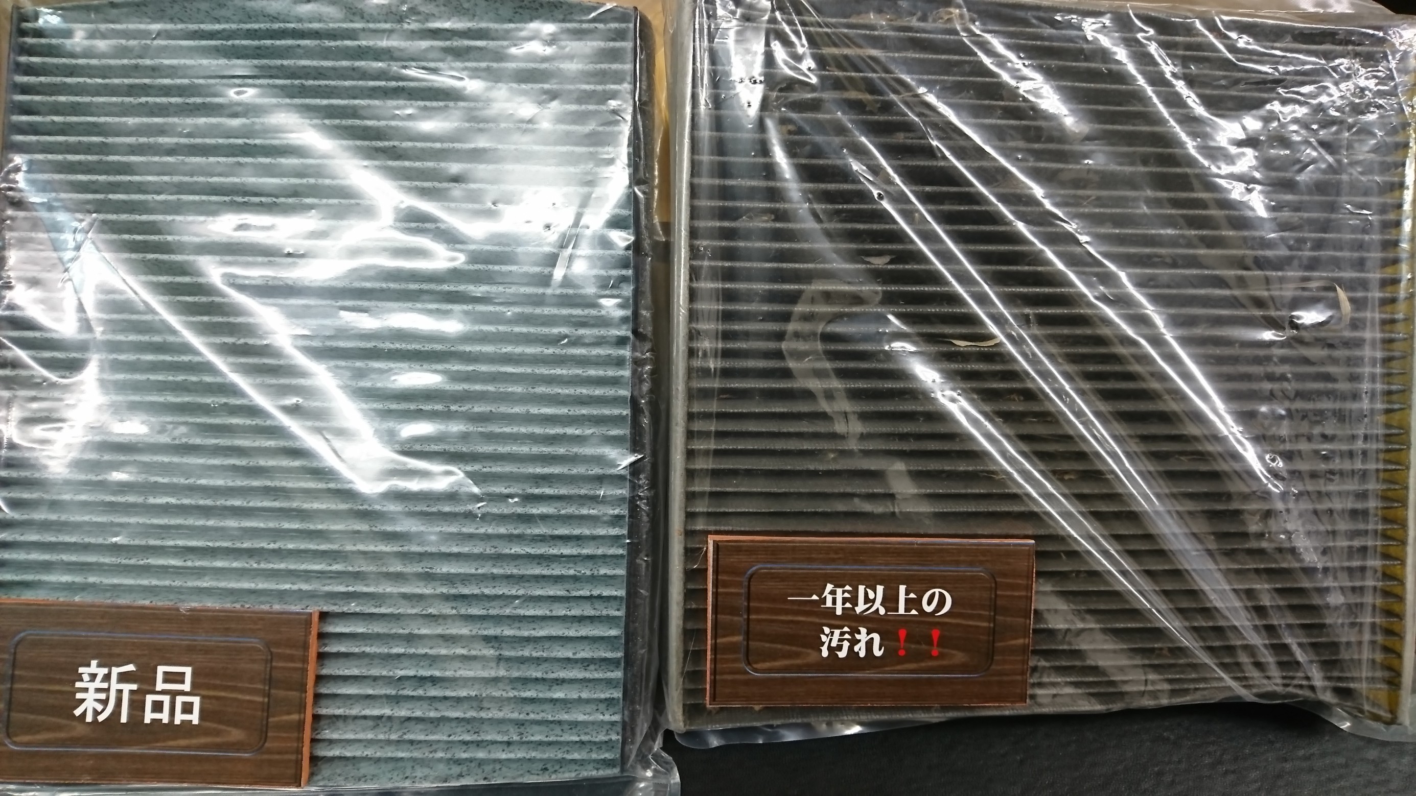 スタッフ撮影