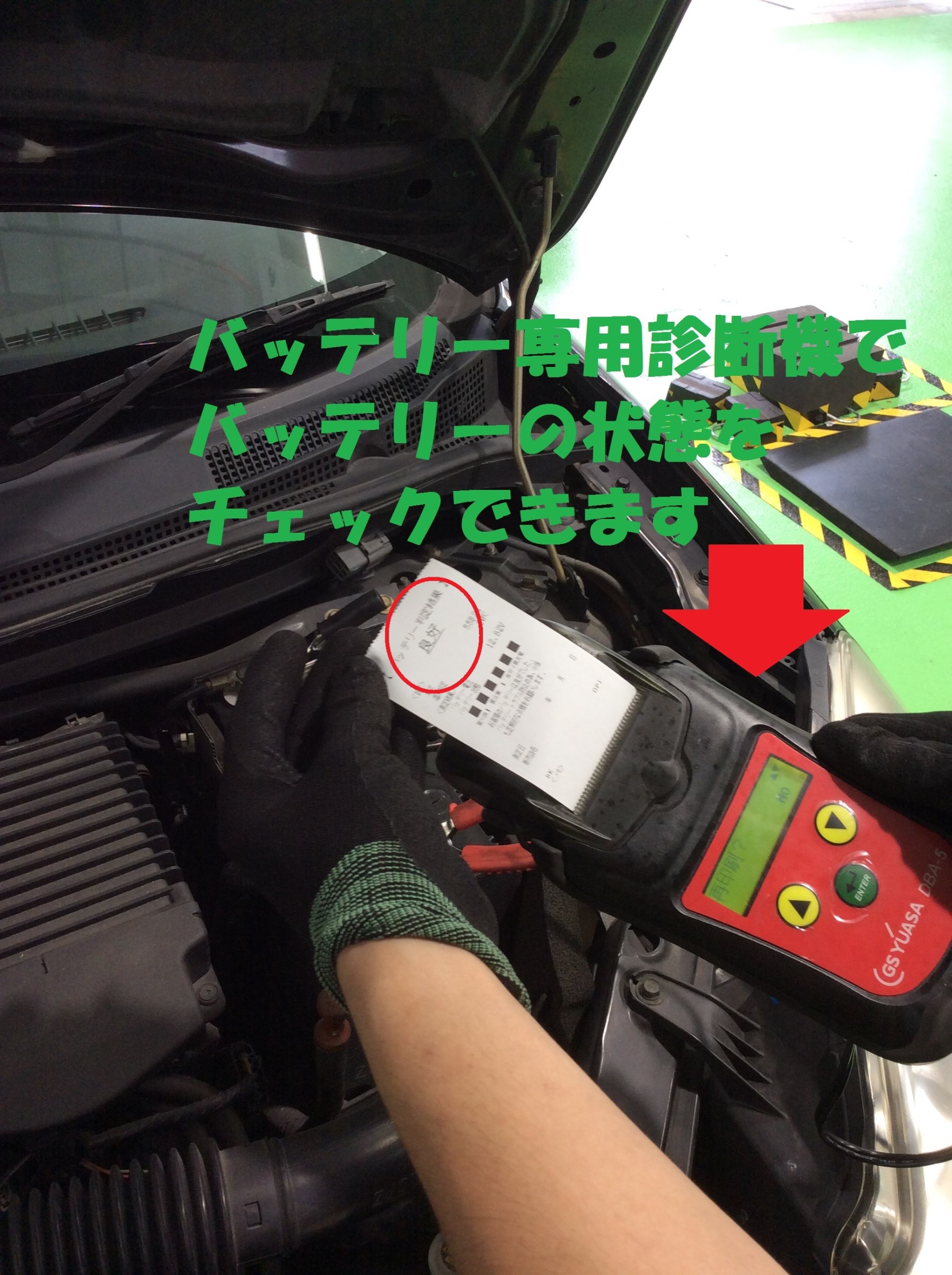 スタッフが撮影した画像です。
