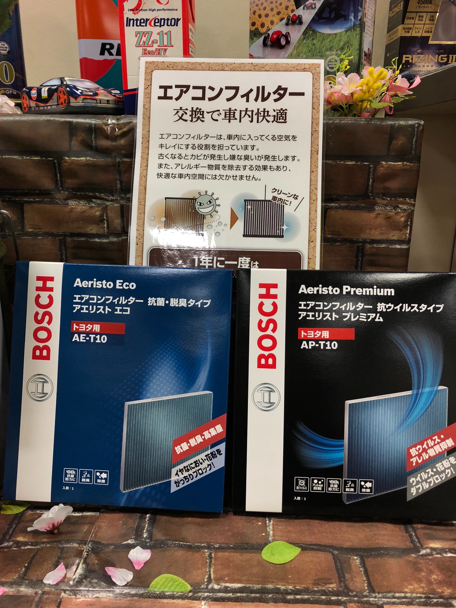 スタッフ撮影です。