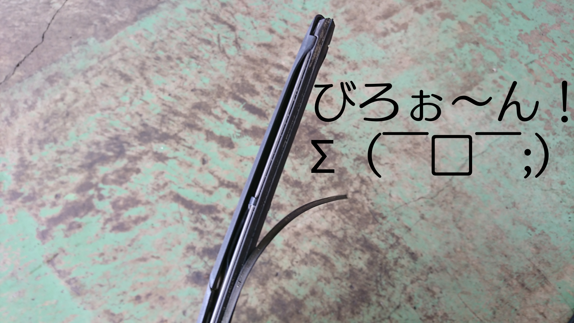 スタッフ撮影