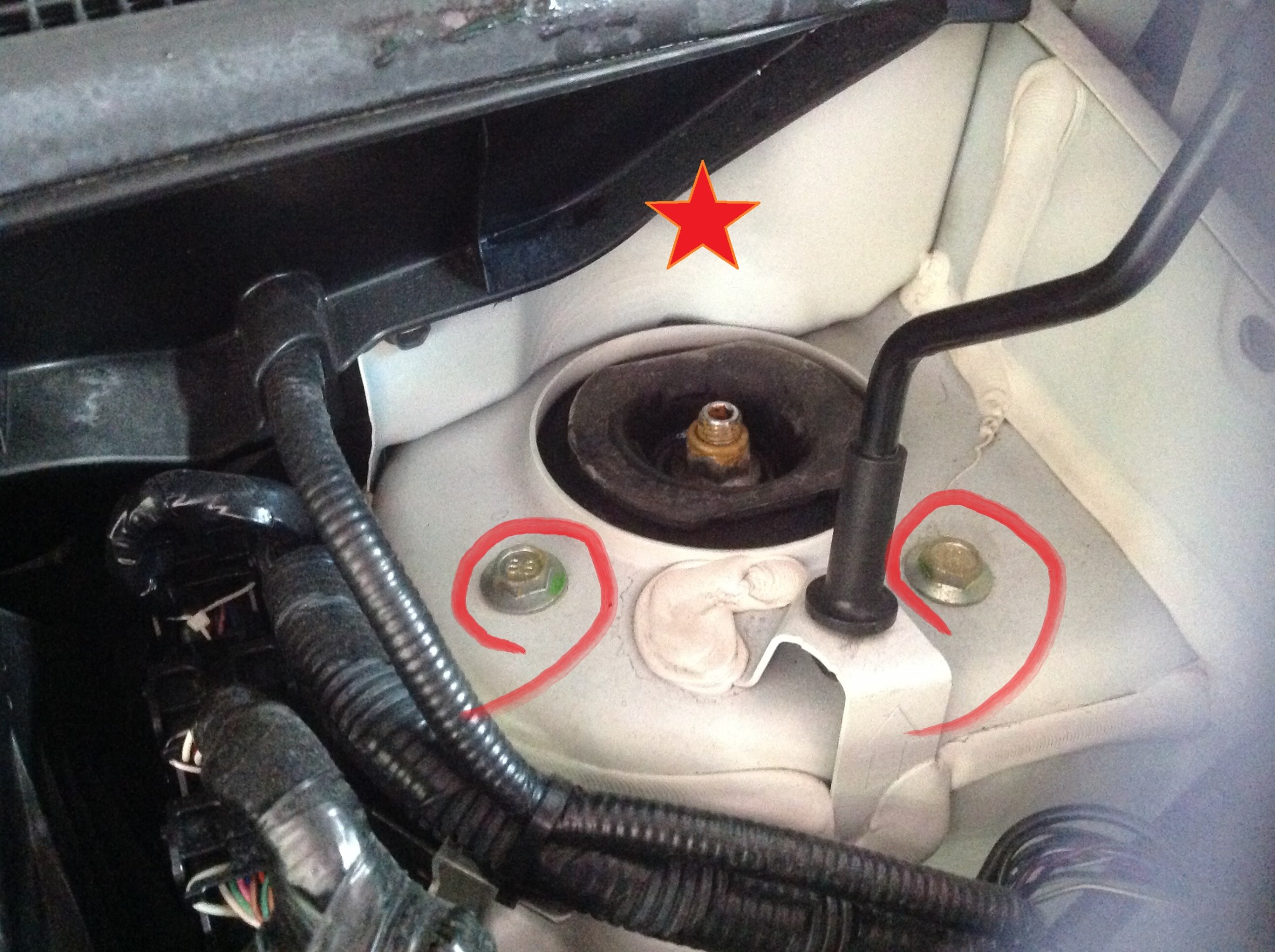 Z12キューブ 車高調のお取り付け 日産 キューブ その他 パーツ取付 サスペンション取付 技術サービスブログ タイヤ館 鎌ヶ谷 千葉県のタイヤ カー用品ショップ タイヤからはじまる トータルカーメンテナンス タイヤ館グループ