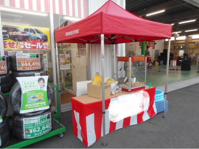 スタッフが撮った写真