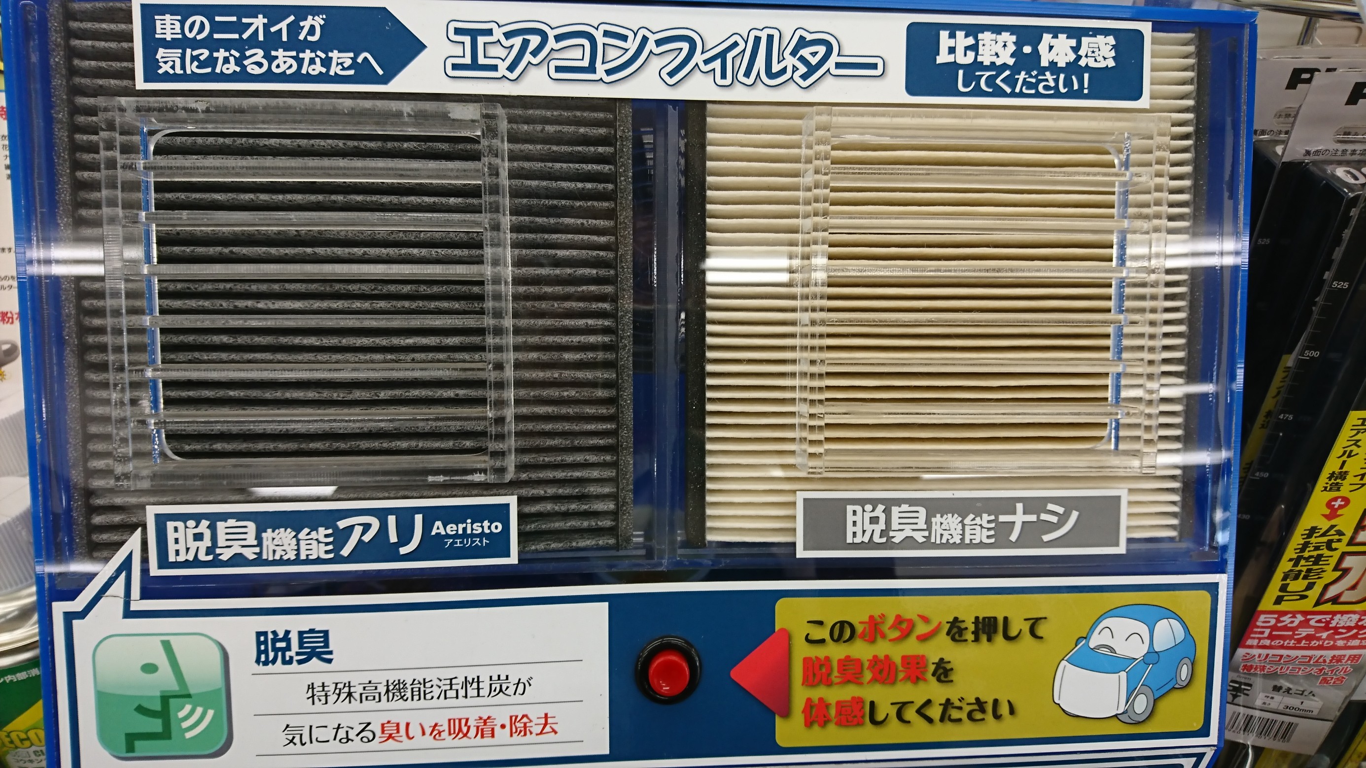 スタッフ撮影
