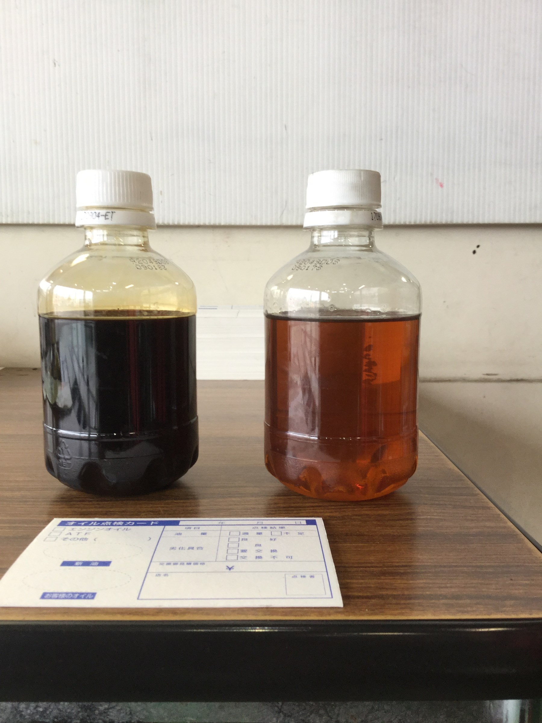 本日スタッフが撮影した画像です。