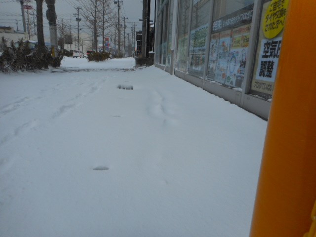 スタッフ撮影