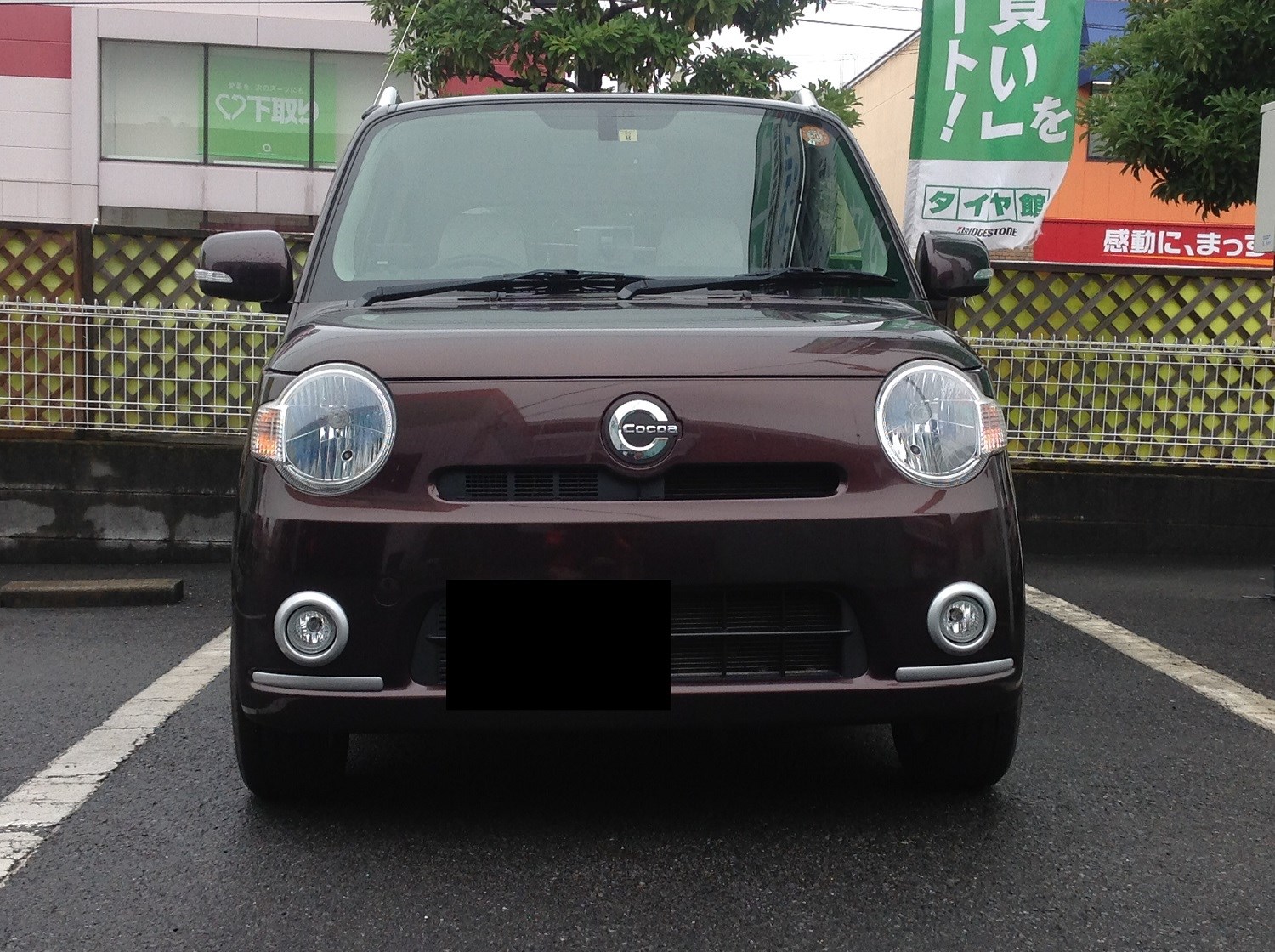 うちの子のｶﾗｰは&lsquo;ﾌﾞﾗｳﾝﾒﾀﾘｯｸﾏｲｶ&rsquo;です♪