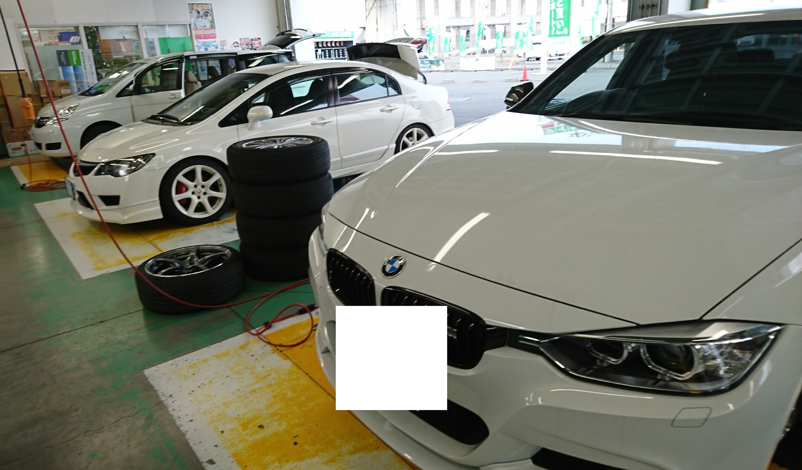 スタッフが撮影した画像です
