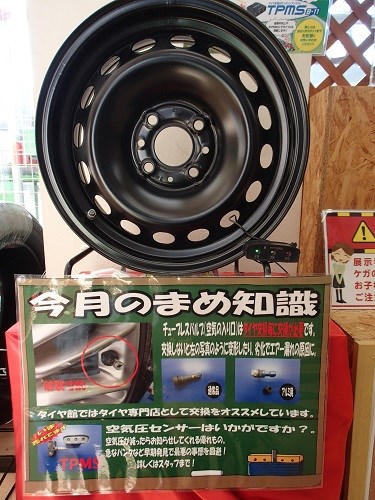 スペアタイヤが無いーーーー 横須賀日記 タイヤ館 横須賀 神奈川県のタイヤ カー用品ショップ タイヤからはじまる トータルカーメンテナンス タイヤ館グループ