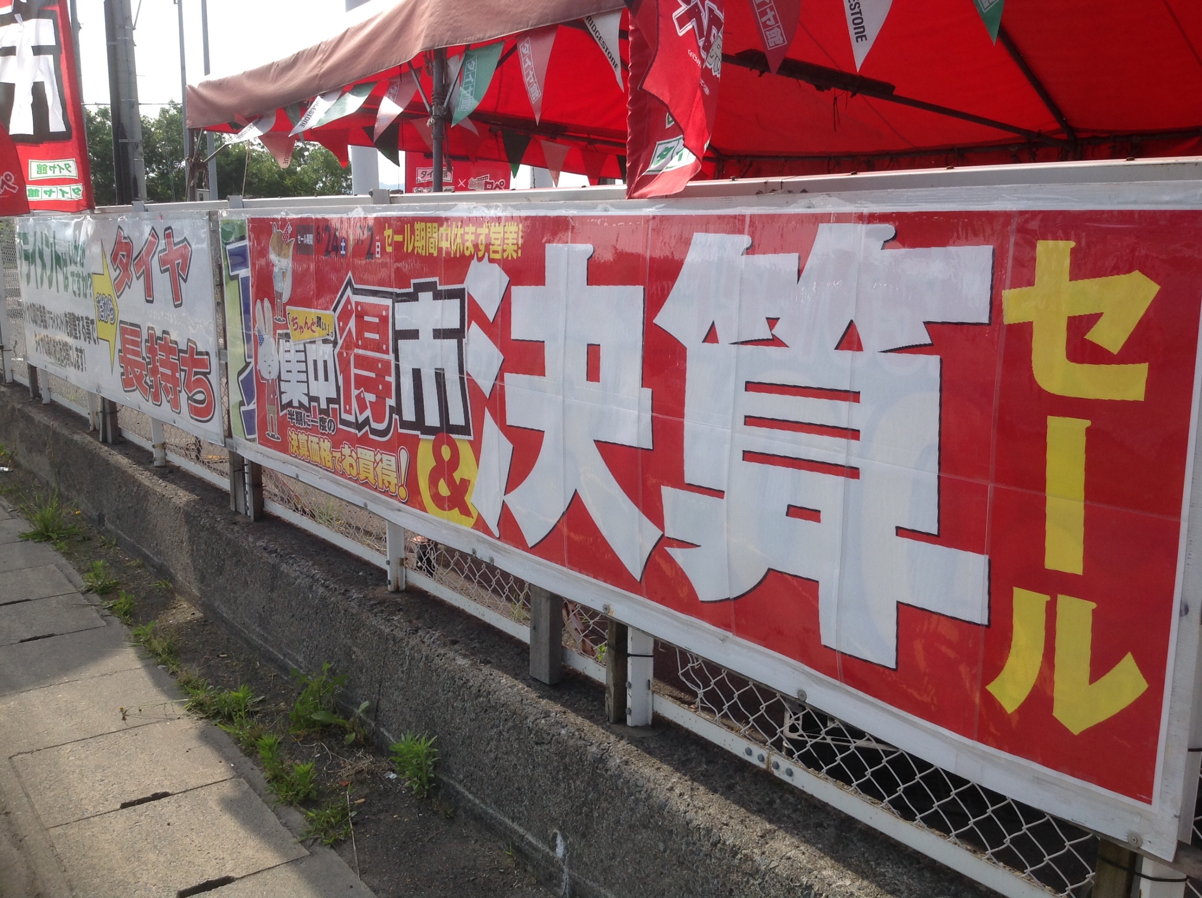スタッフが撮影した画像です。