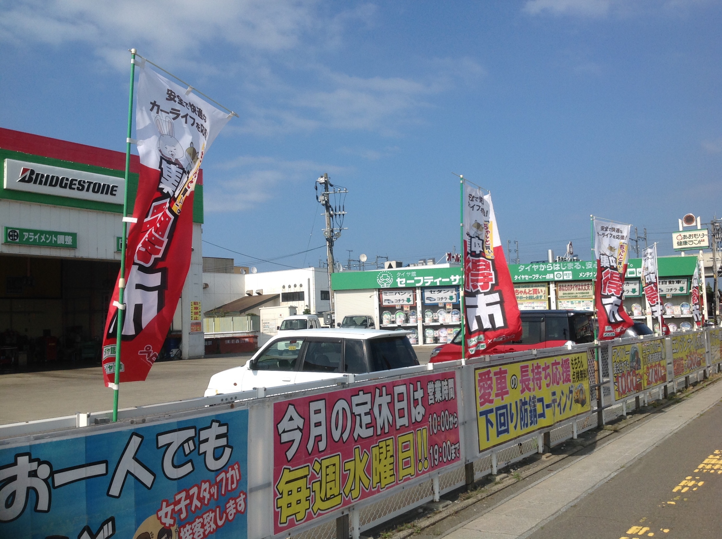 スタッフが撮影した画像です。