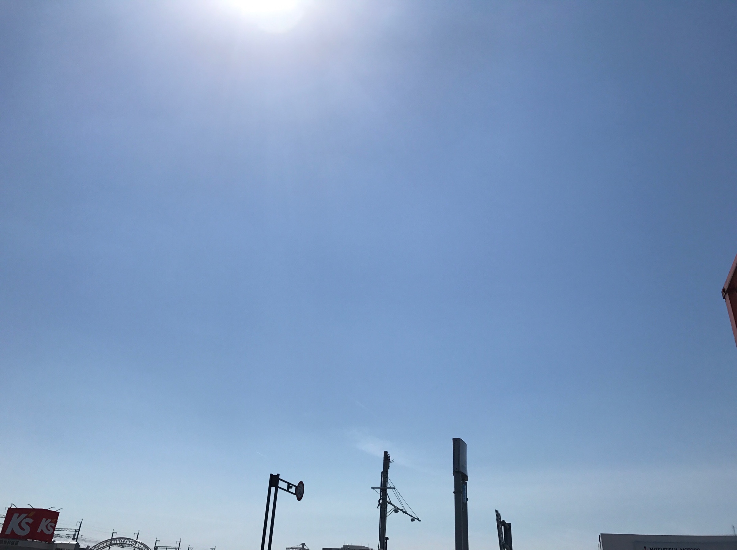 スタッフが撮った写真です。