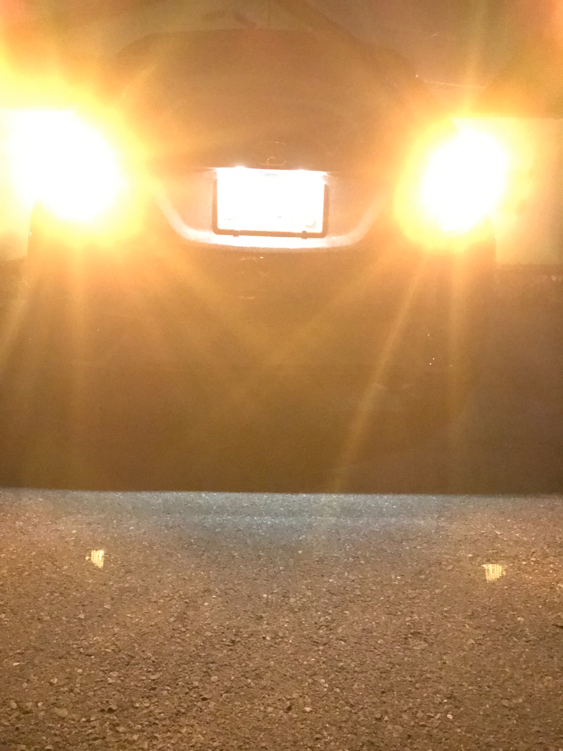 スタッフ撮影です。