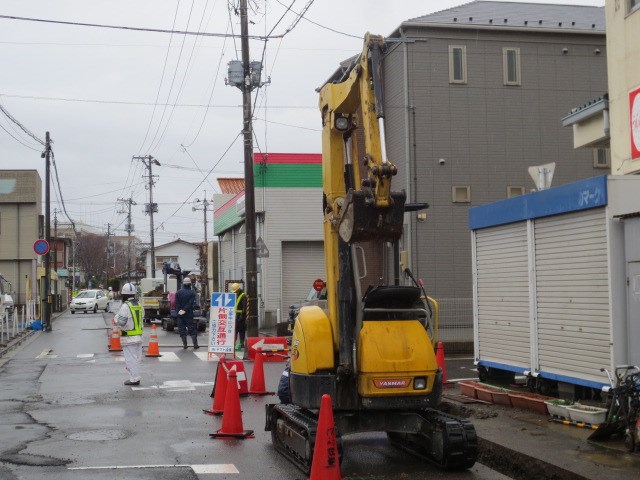 スタッフが撮影したものです。