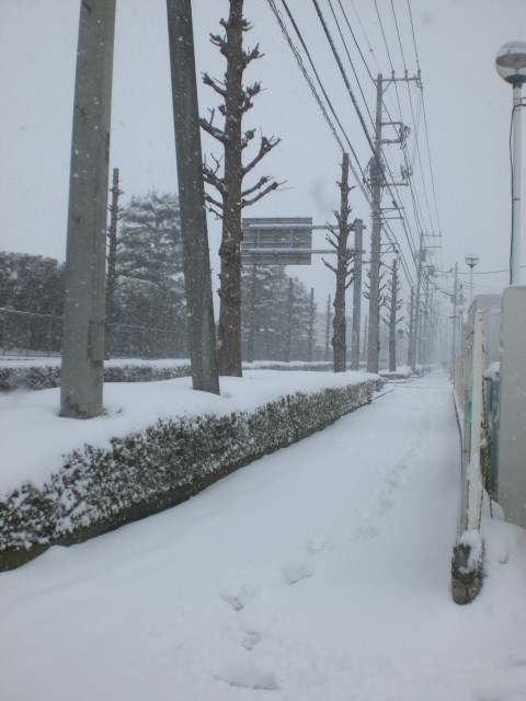 16年の雪はこんなでした 相模原日記 タイヤ館 相模原 神奈川県のタイヤ カー用品ショップ タイヤからはじまる トータルカーメンテナンス タイヤ館グループ