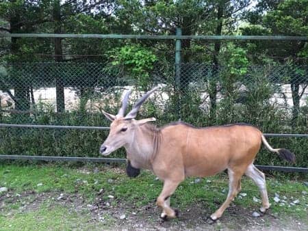 休みはみんな家族サービス 日立大みか店日記 タイヤ館 日立 大みか 茨城県のタイヤ カー用品ショップ タイヤからはじまる トータルカーメンテナンス タイヤ館グループ