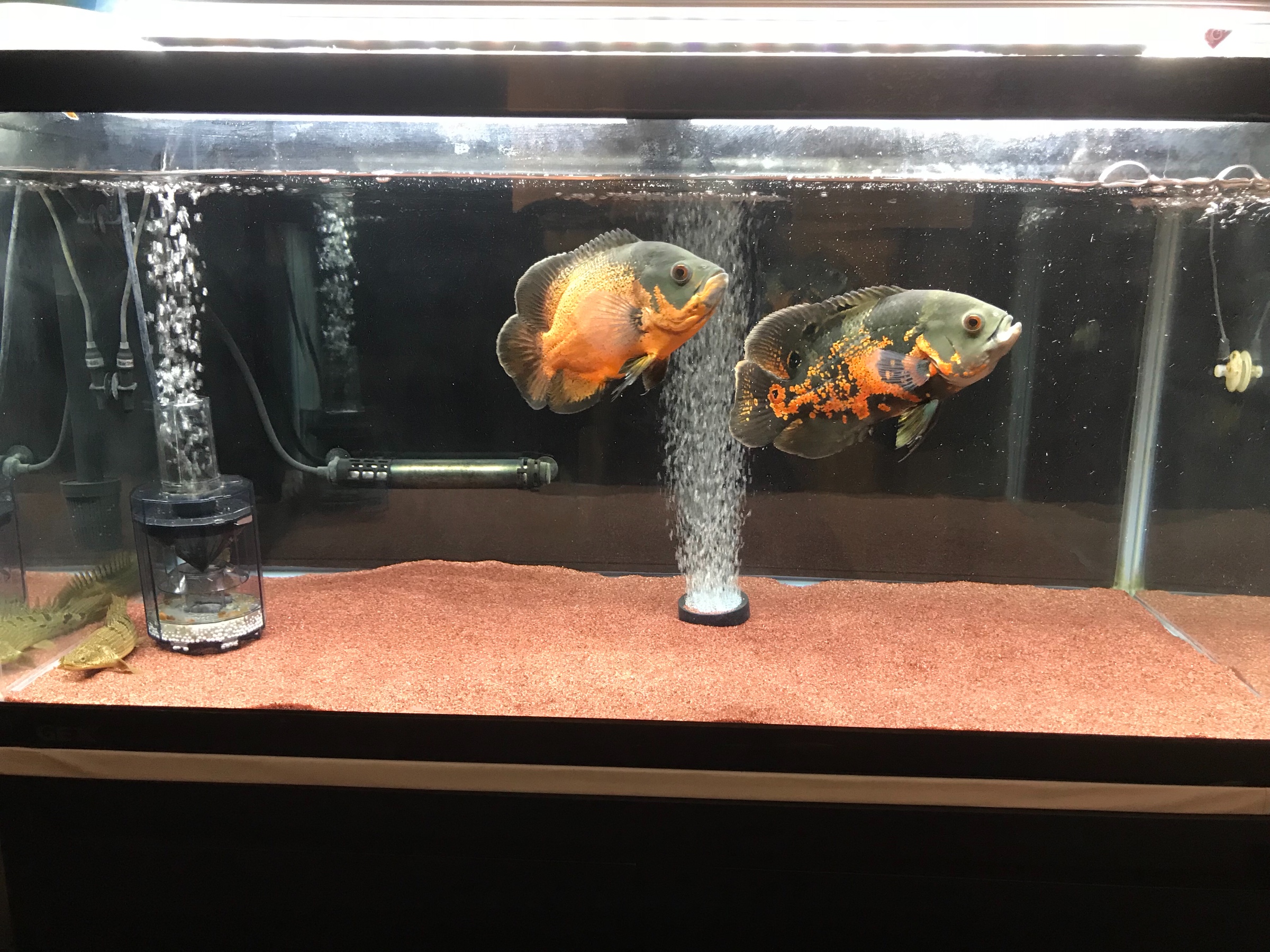 スタッフが撮影した写真です