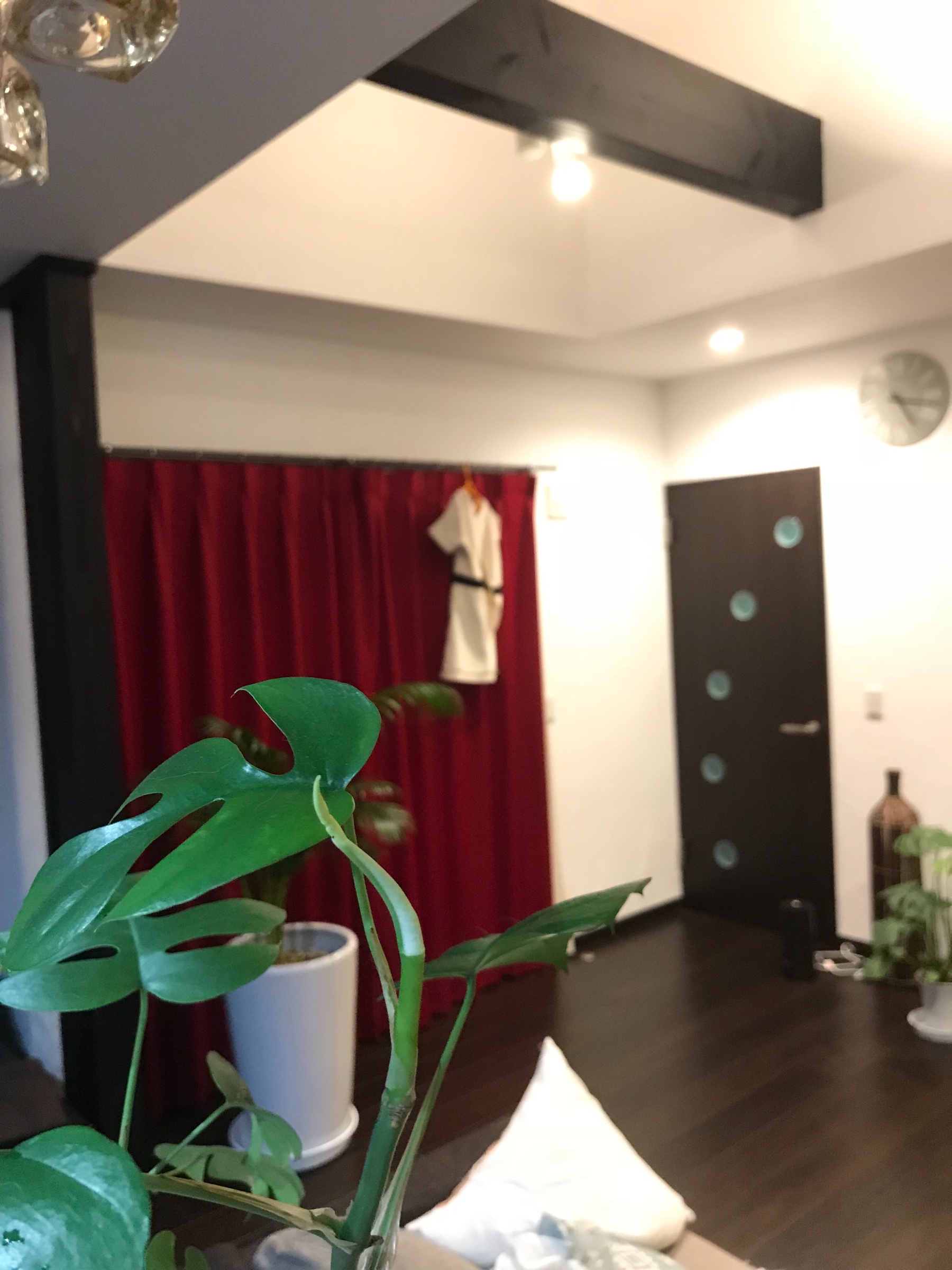 スタッフが撮影した写真です