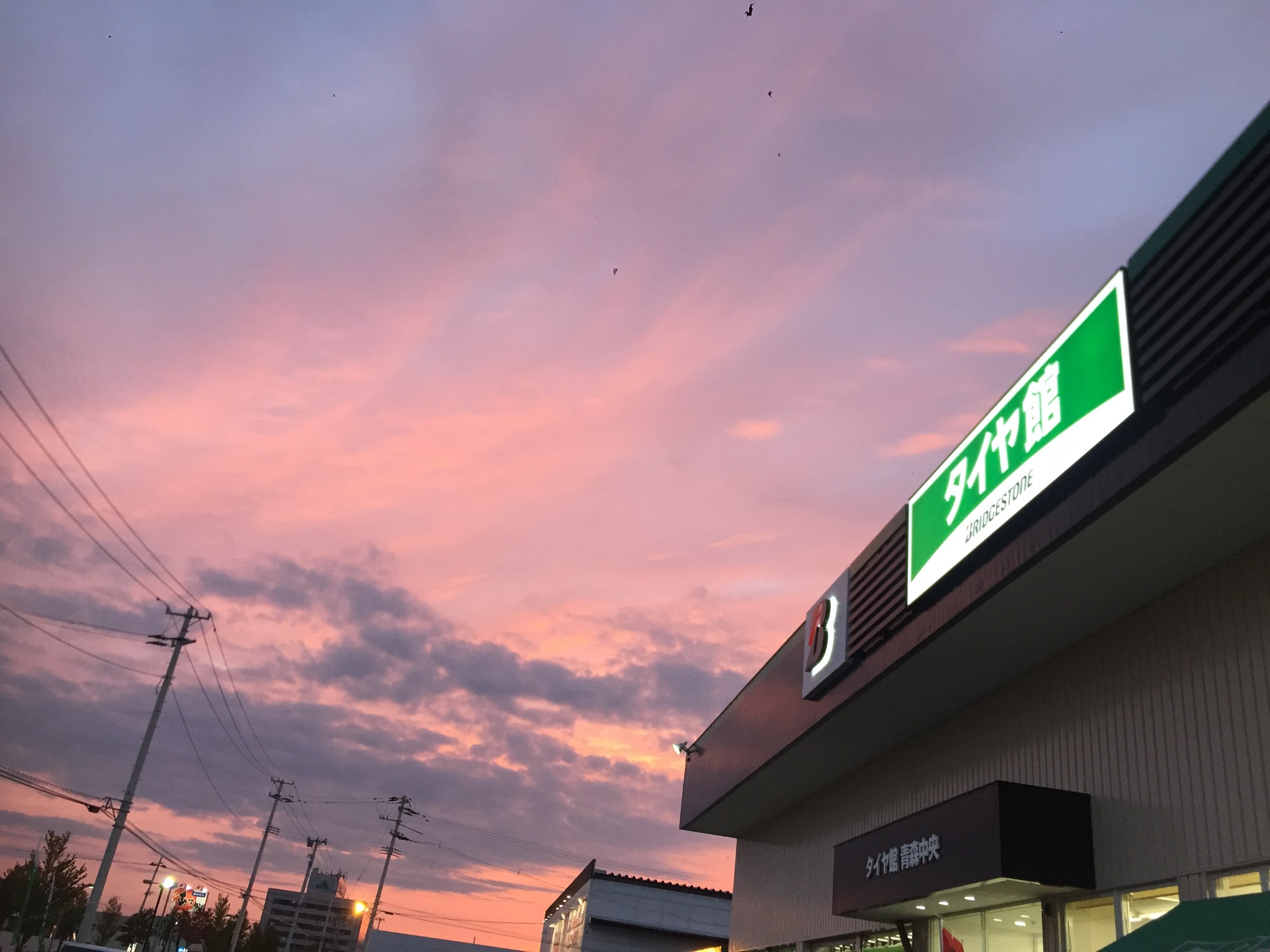 スタッフが撮影した写真です