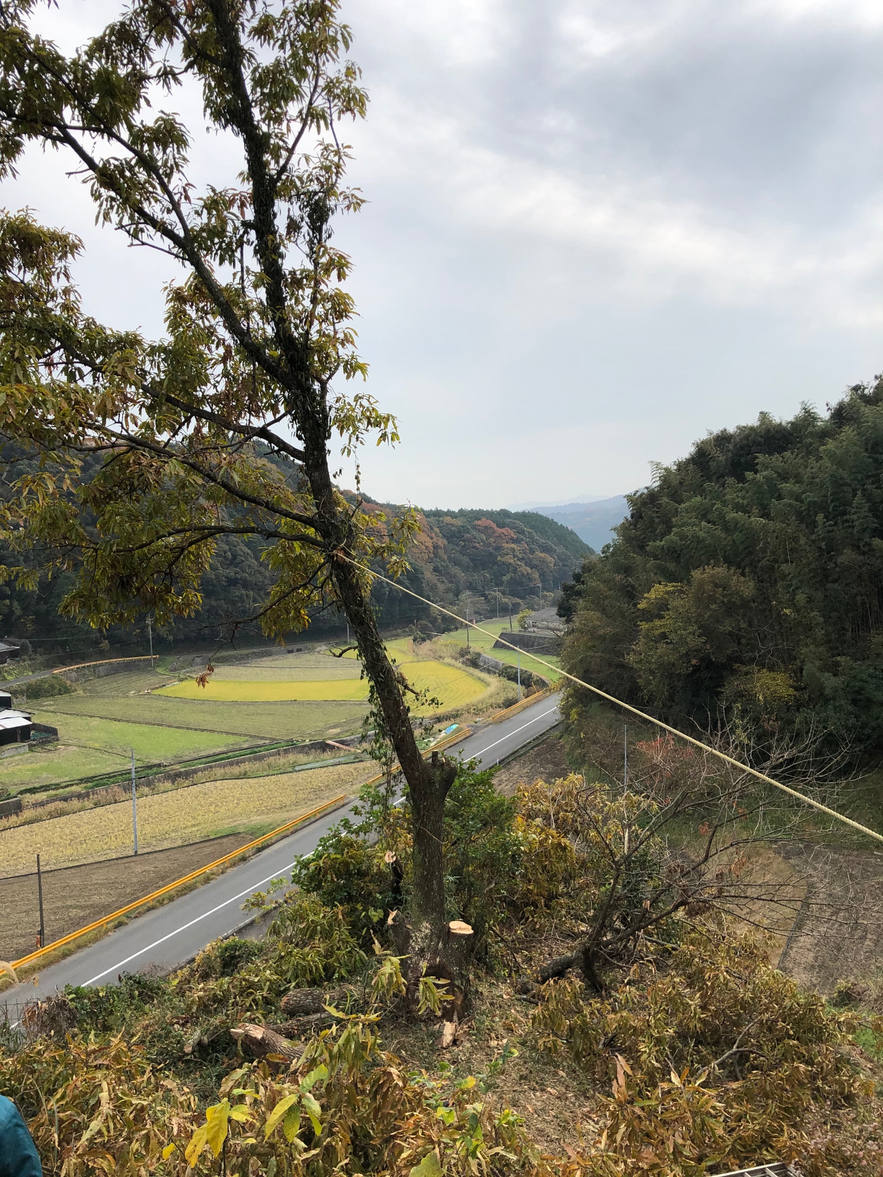 自分が撮影