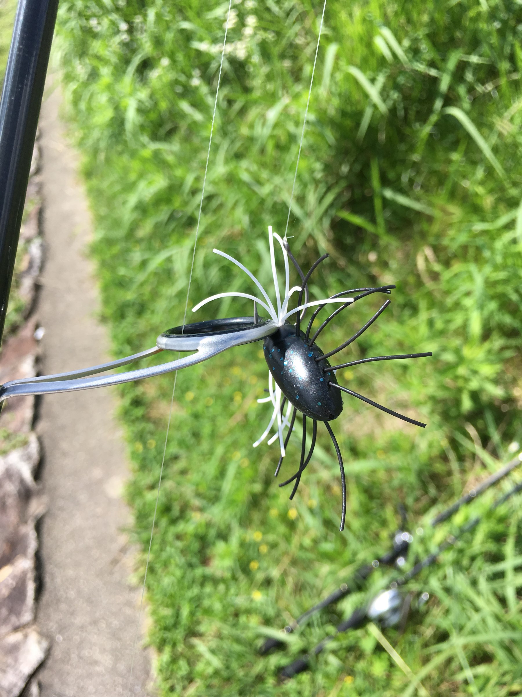 スタッフが撮影