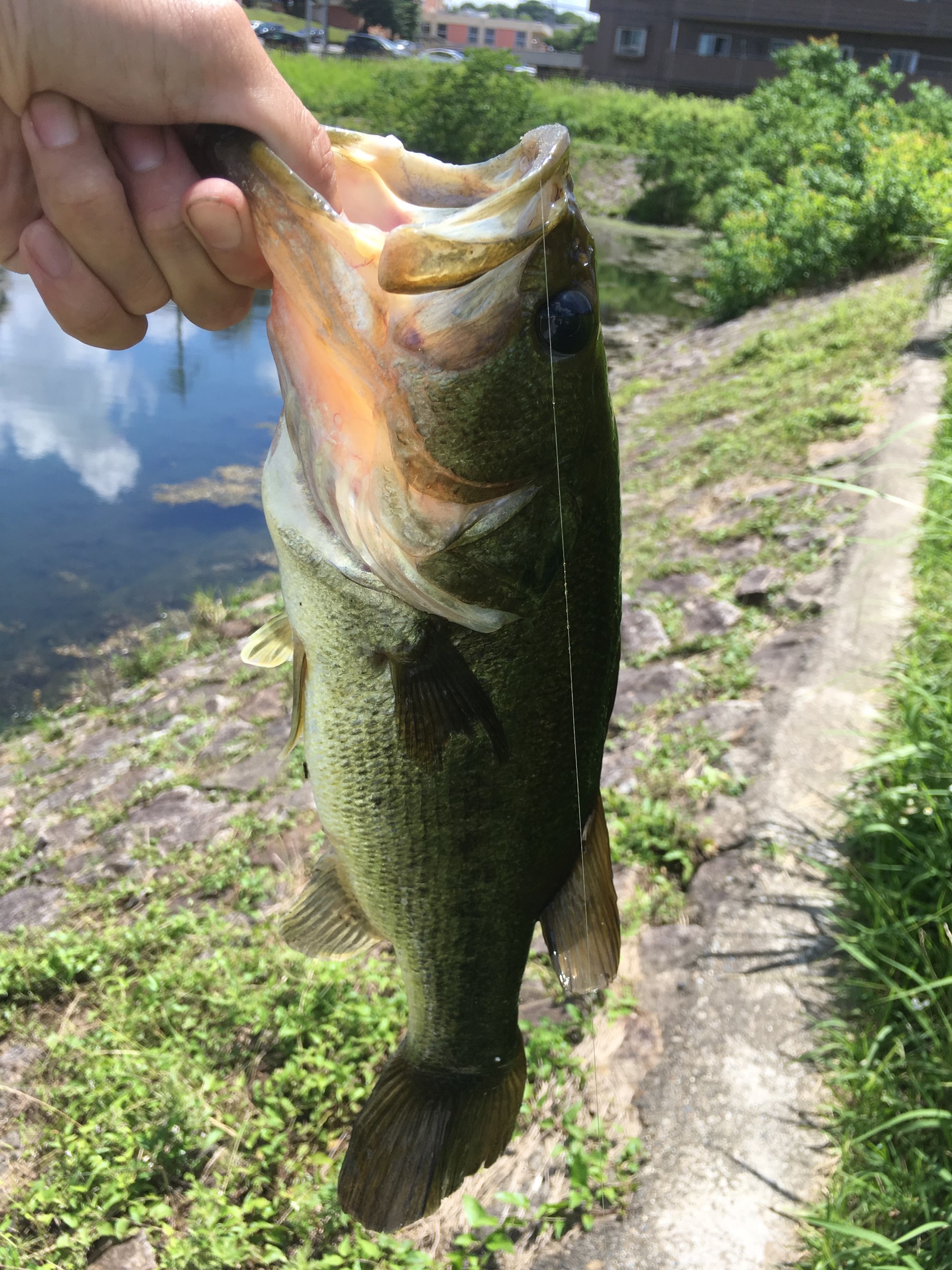 スタッフが撮影