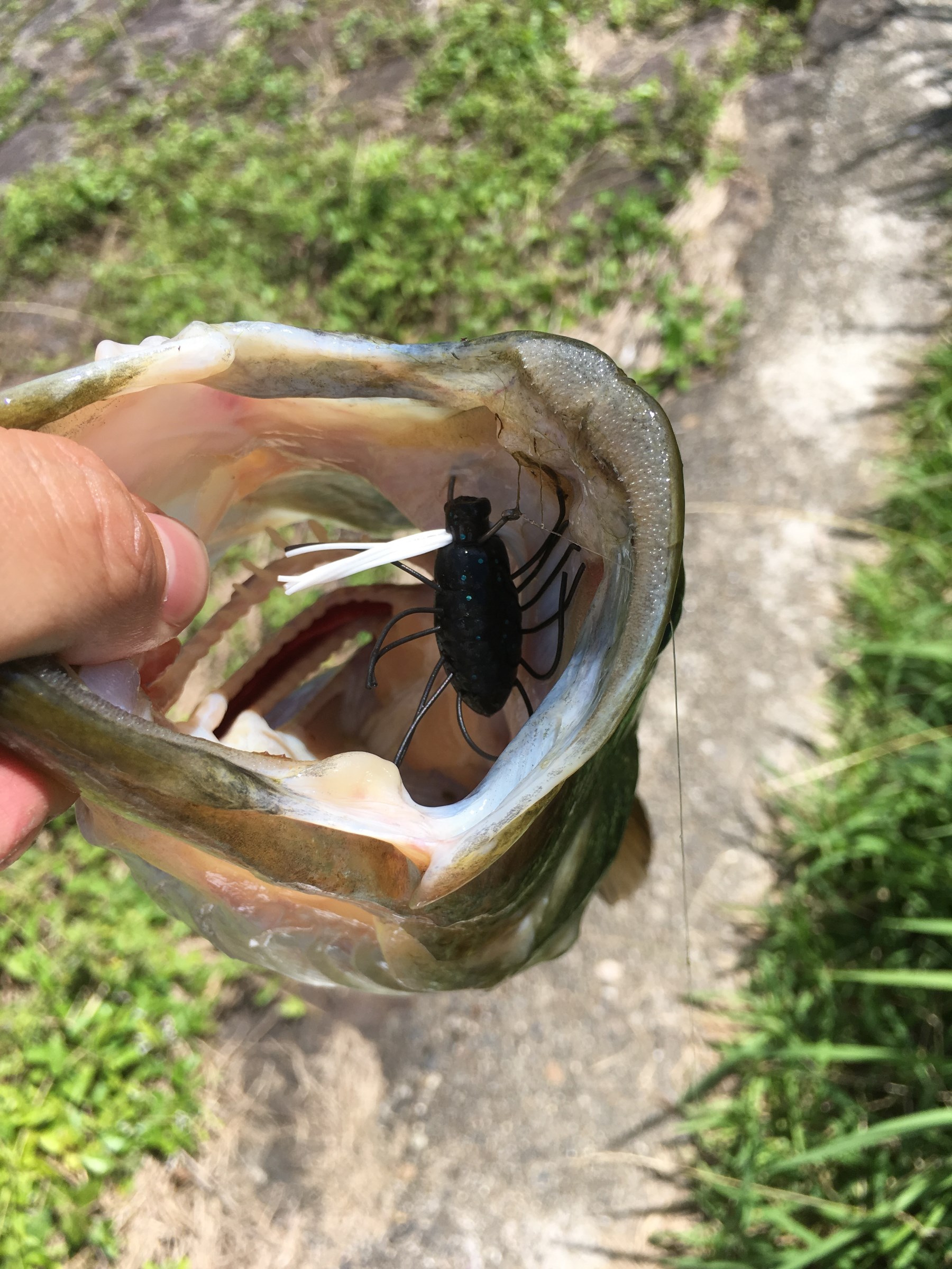 スタッフが撮影