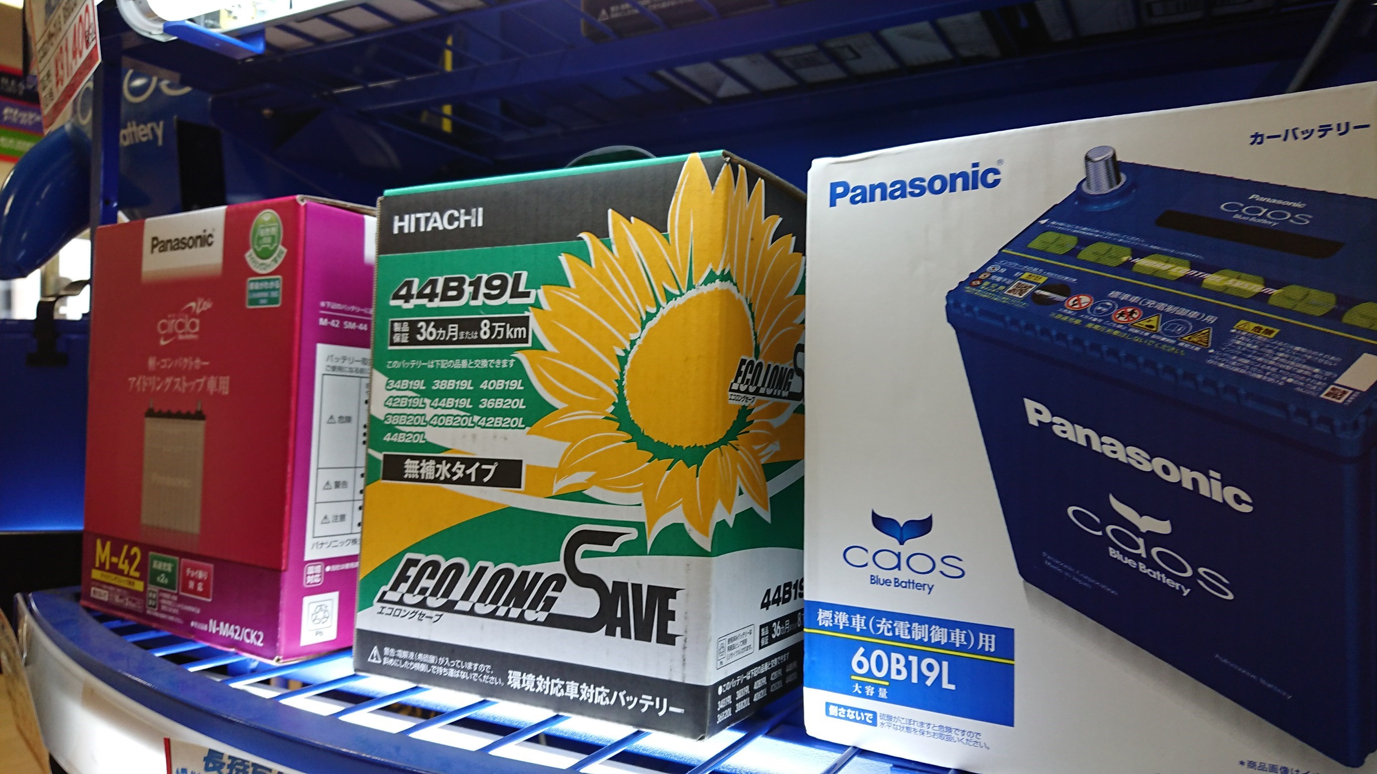 スタッフが撮影しました。