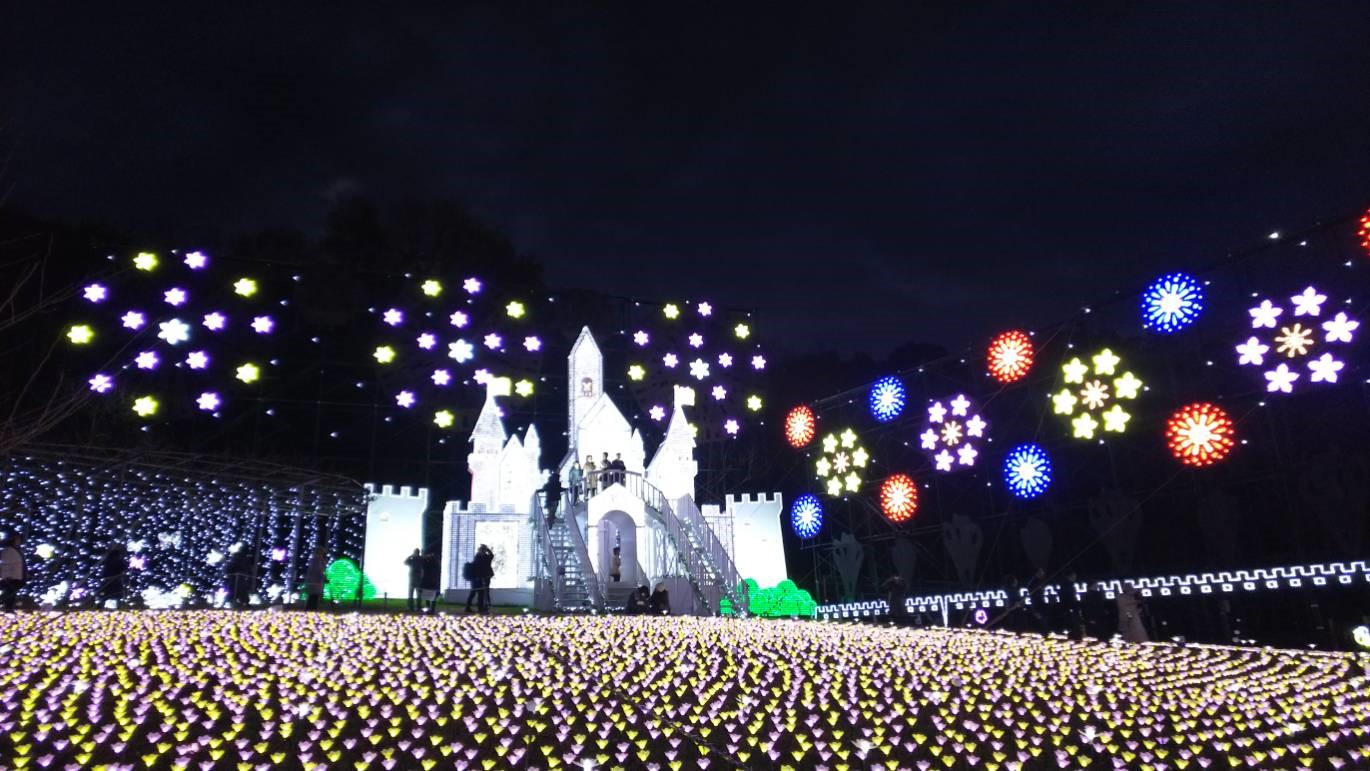 あしかがフラワーパーク | 店舗おススメ情報 | タイヤ館 かわごえ