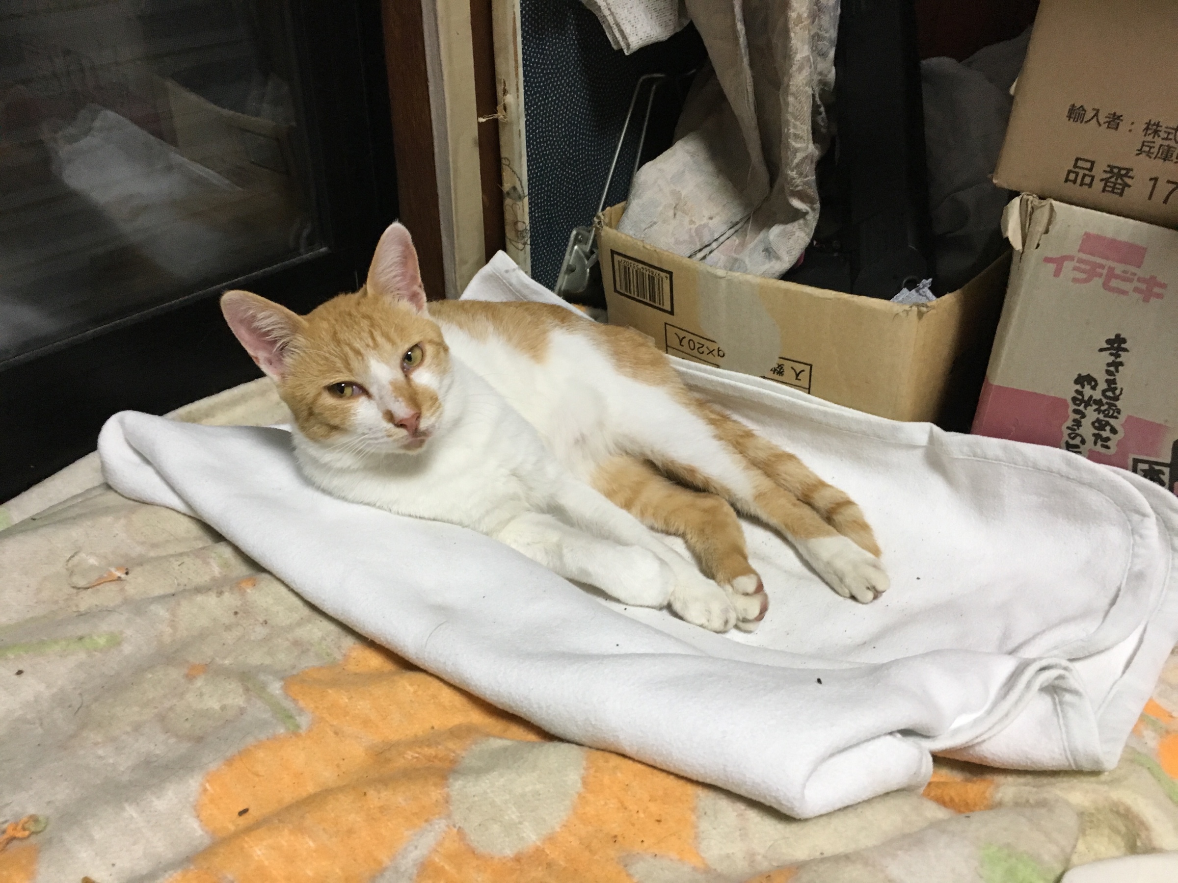 ちーちゃん安心の表情