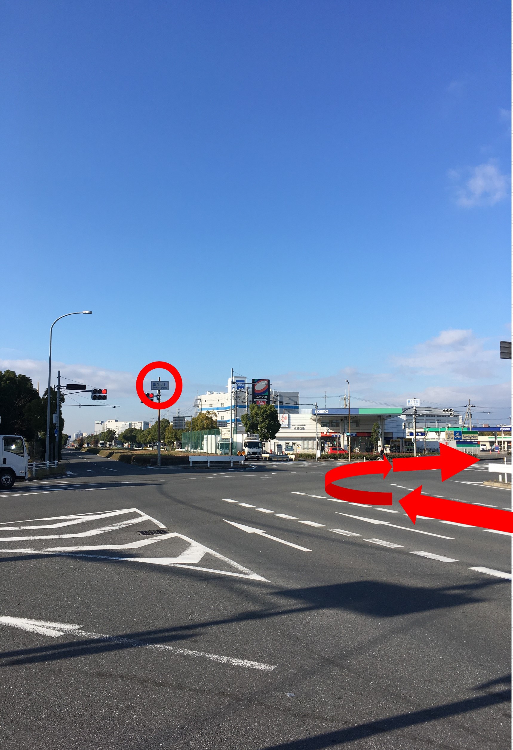 画像はスマホ撮影分となります。