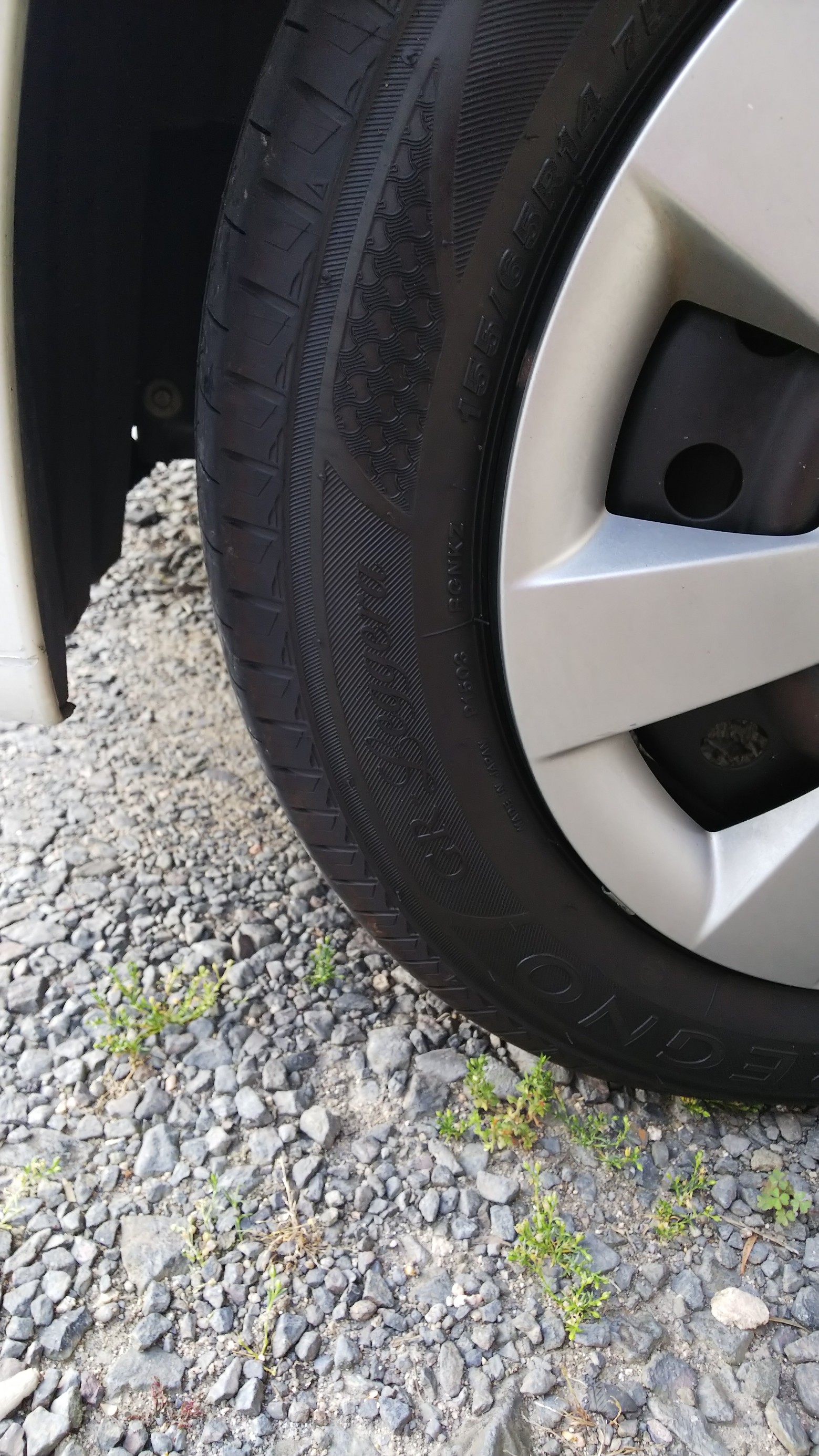 スタッフ撮影です。