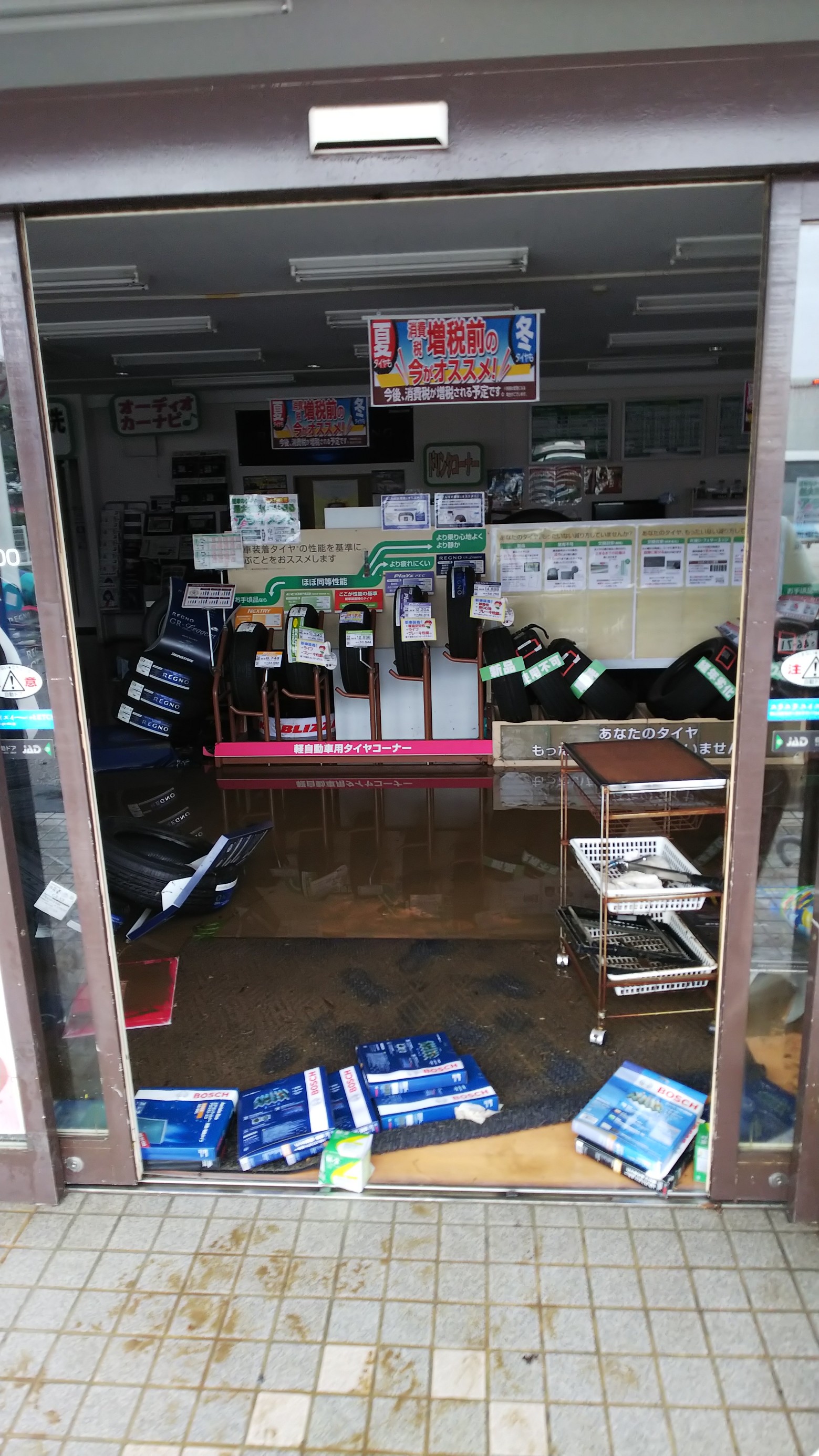 スタッフ撮影です。