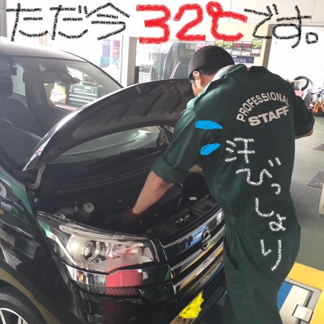 スタッフ撮影(文字はペイントです)
