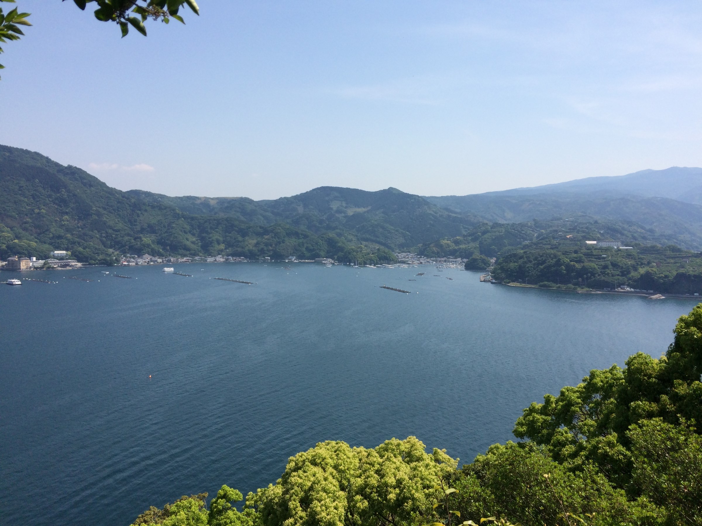 スタッフが撮影した写真です。