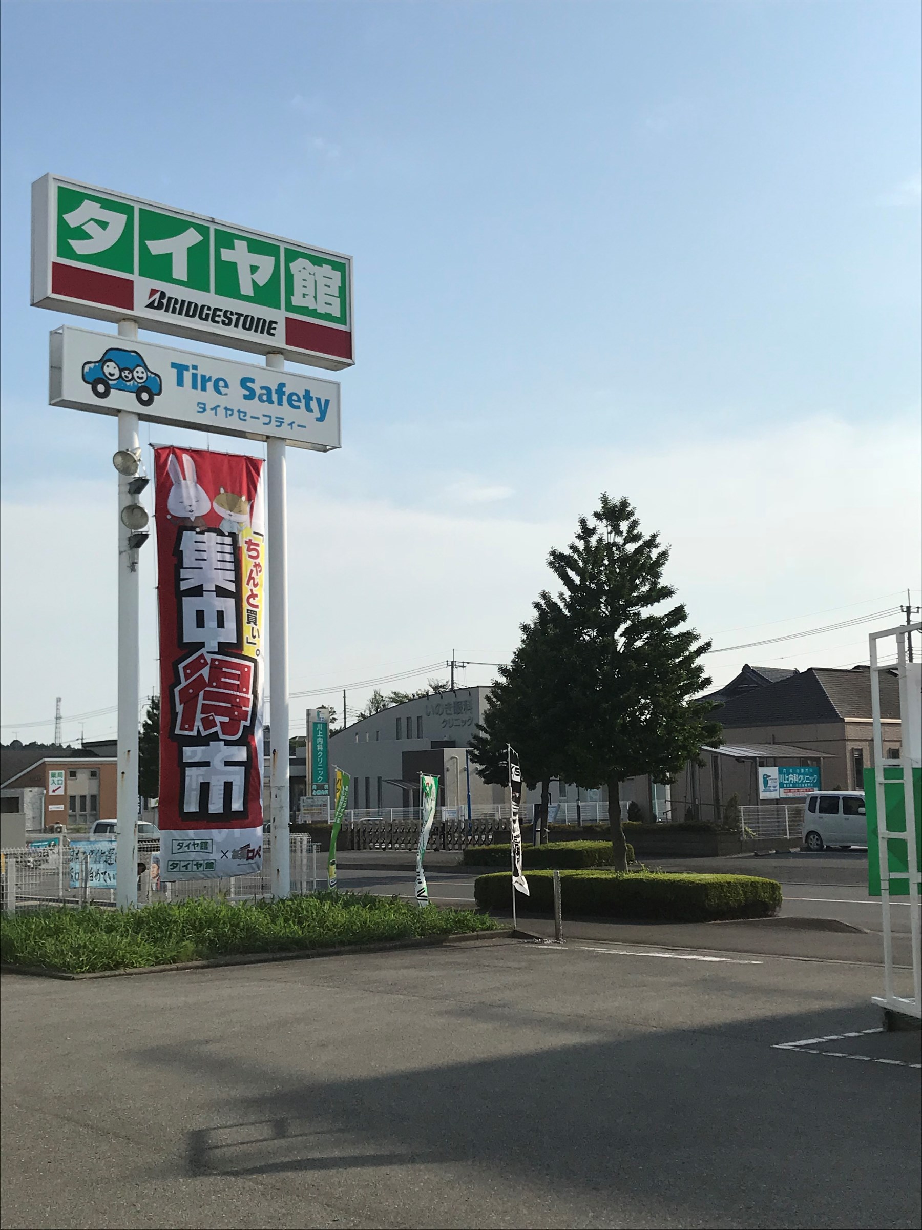 スタッフが撮影した画像です