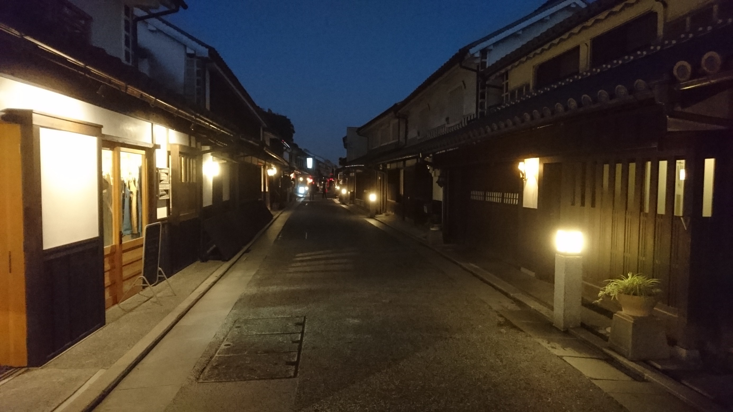 スタッフの撮影した画像です。