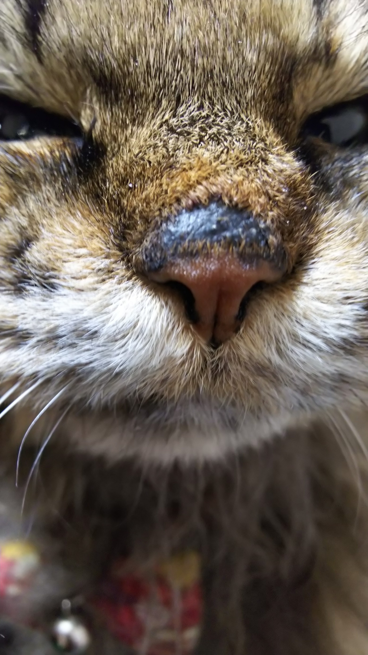 スタッフ撮影です。