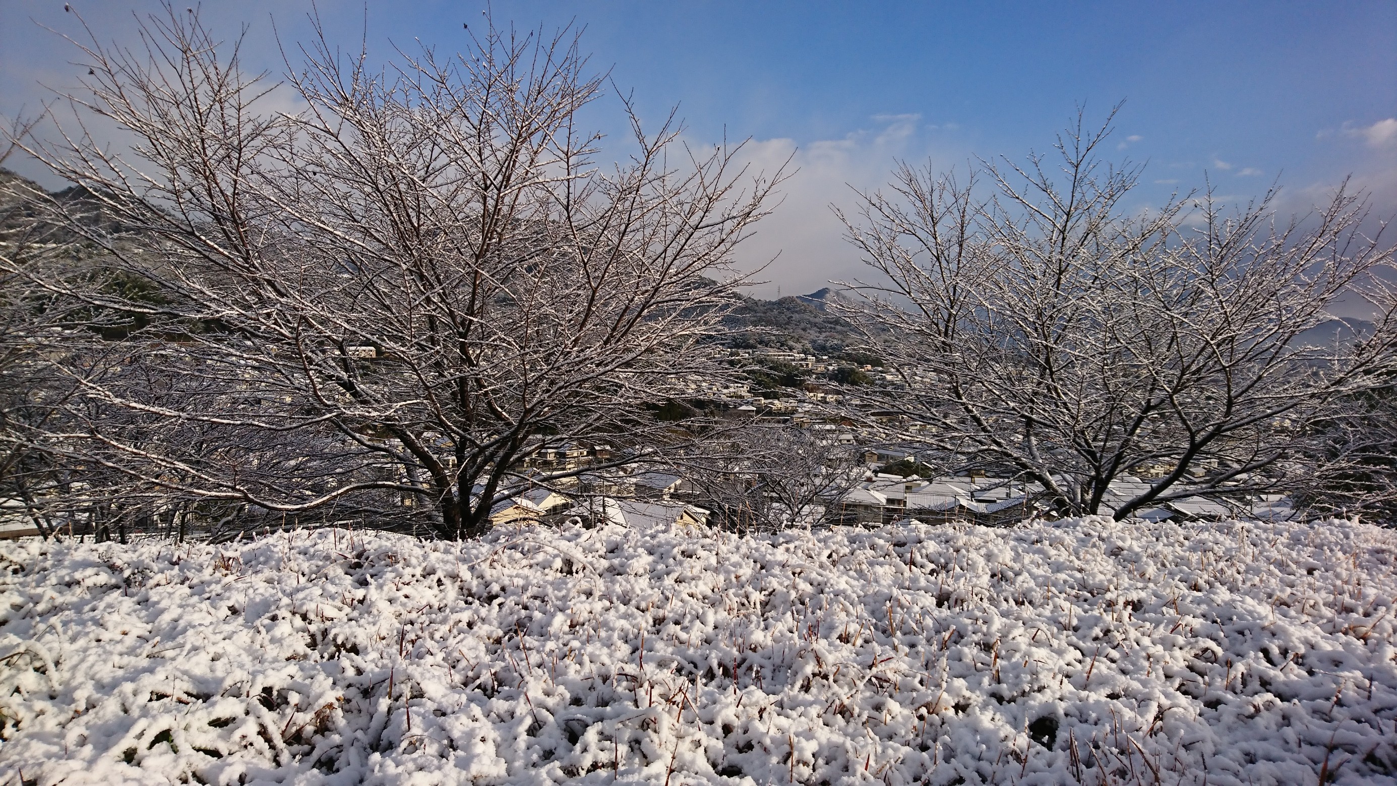 寒イボ スタッフ日記 タイヤ館 広島 タイヤからはじまる トータルカーメンテナンス タイヤ館グループ