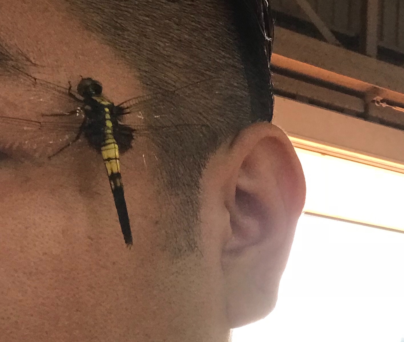 トンボ スタッフ日記 タイヤ館 鳥栖 タイヤからはじまる トータルカーメンテナンス タイヤ館グループ