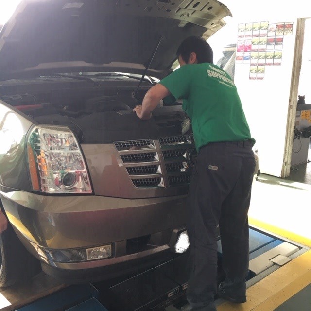 スタッフ撮影　ナンバーはペイントで加工しています。