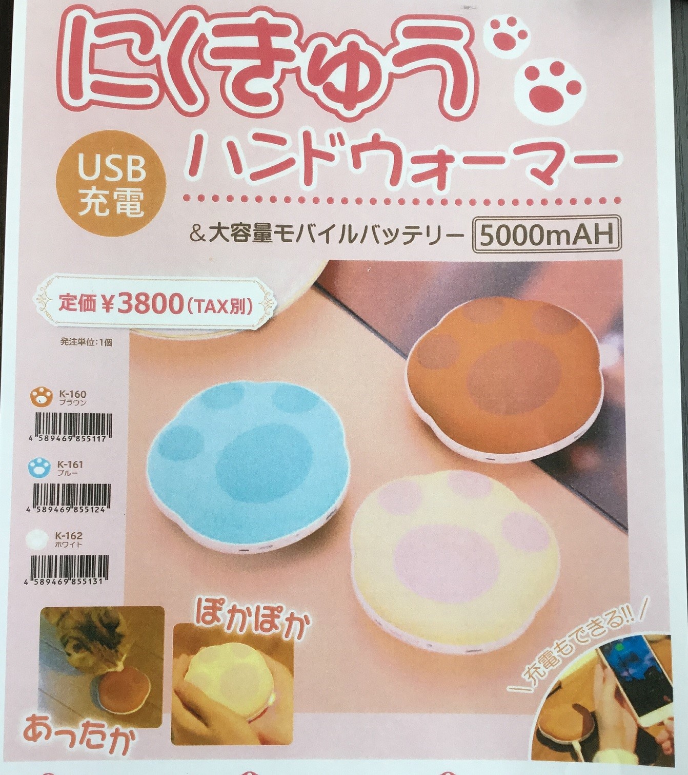 業者さんからもらったチラシ。掲載許可いただきました。