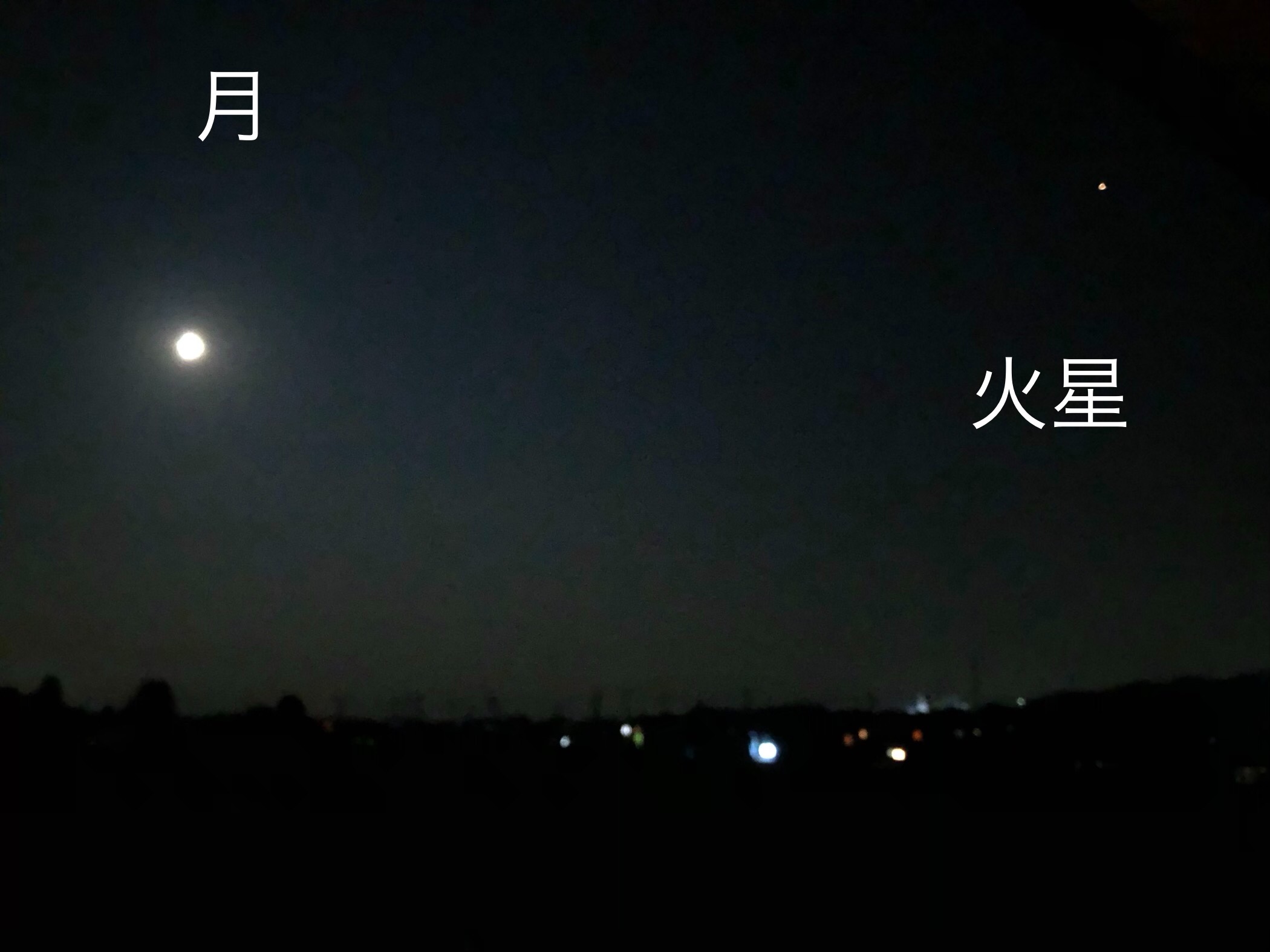 スタッフ撮影です